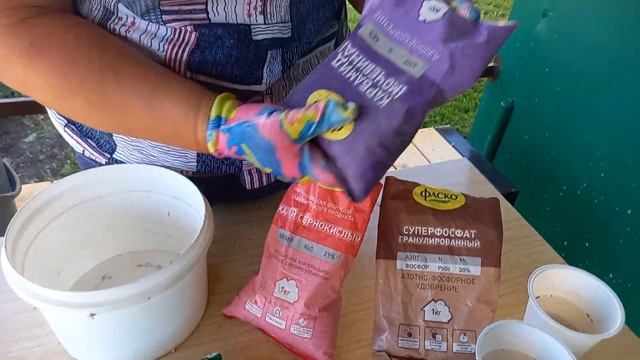 ПОДКОРМКА МЕТЕЛЬЧАТЫХ ГОРТЕНЗИЙ В ФАЗЕ БУТОНИЗАЦИИ смотреть онлайн