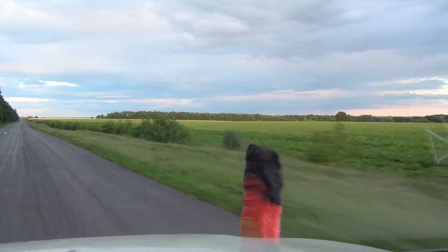 Verkhniye Postoyalye Dvory Верхние Постоялые Дворы Domra Домра Vysokonskiye Высоконские Дворы #213 смотреть онлайн