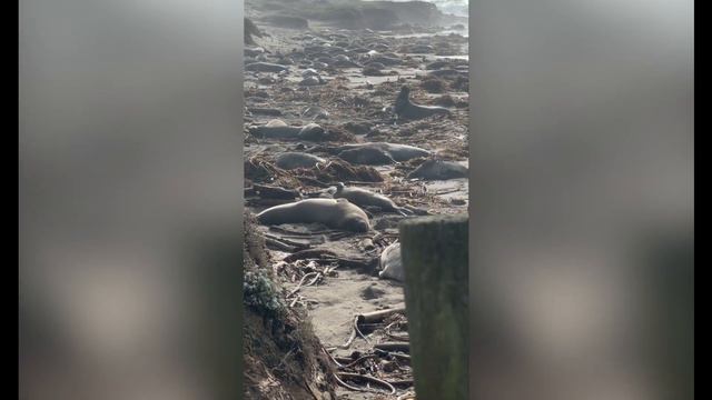 Cambria, California 2023!