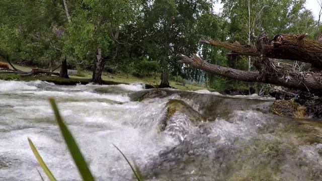 Шум реки,природа,река. смотреть онлайн