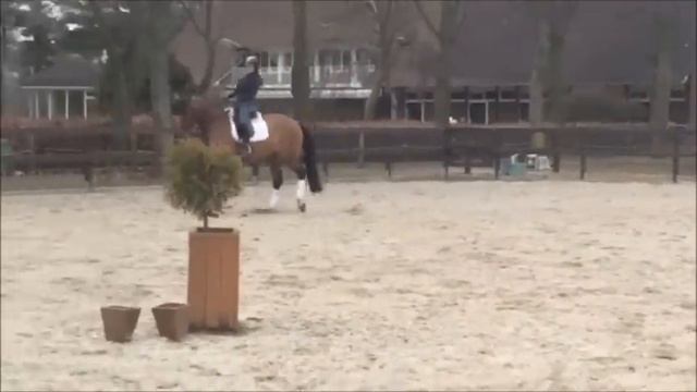 8 year old mare Z level смотреть онлайн