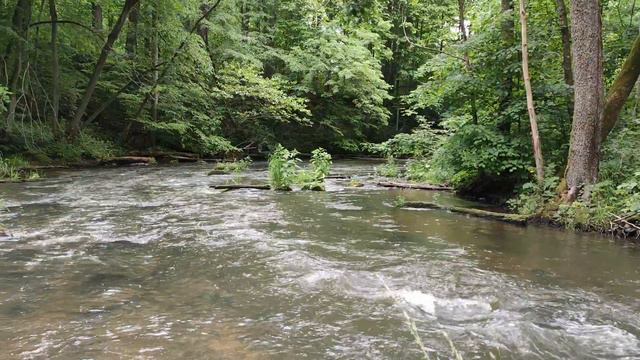 Калининградская область  Река красная