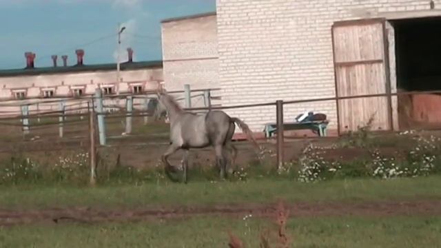 Помещик 2013 от Империала смотреть онлайн