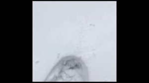 Снегоступы GV. Хождение по глубокому снегу. Особенности креплений.