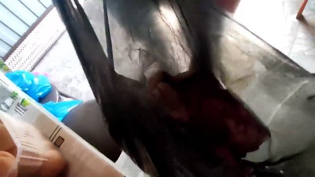 отдых в Ейске 3 день, сегодня по домашнему смотреть онлайн