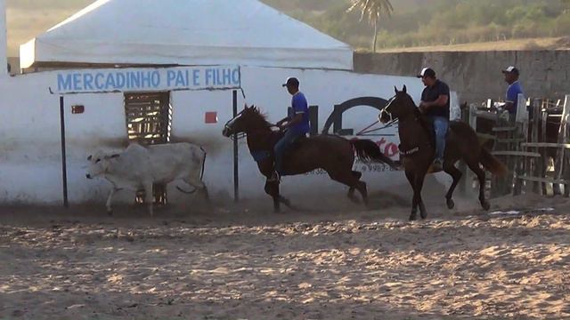 GRANDE FINAL DO CIRCUITO ESSA EU GANHO EM LAGOA DO MATO 30 09 2018 смотреть онлайн