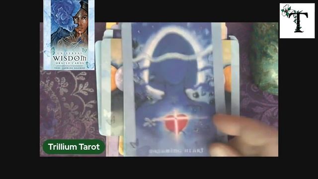 Universal Wisdom Oracle смотреть онлайн