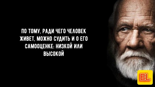 Мудрые цитаты смотреть онлайн