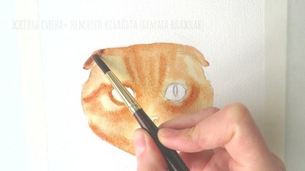 Мордочка кота акварелью. Открытка. Cat face. Watercolor card.