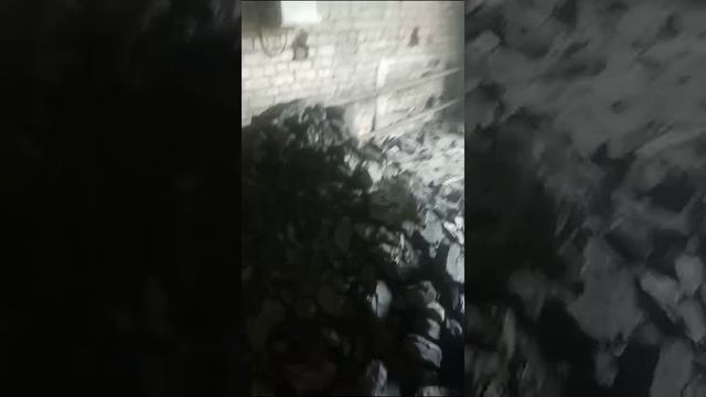 VID-20230719-WA0002.mp4