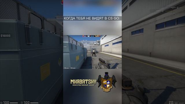 КОГДА ТЕБЯ НЕ ВИДЯТ В CS GO #Shorts #csgo #counterstrike смотреть онлайн