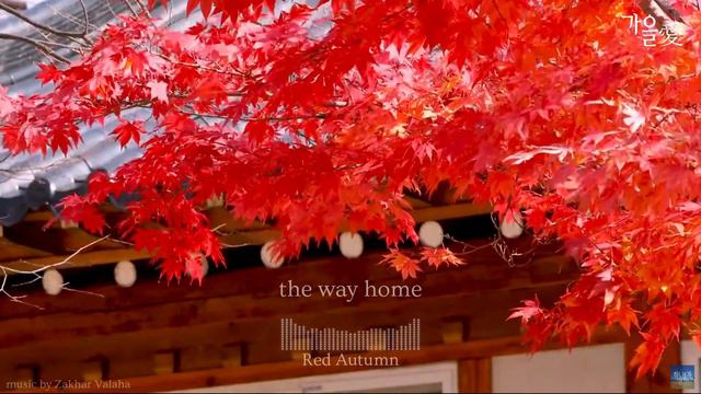 가을愛 | Red Autumn | 秋の愛 🍁 Touching Violin Concerto смотреть онлайн
