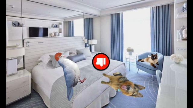 первая серия сериал в котором происходит фегня смотреть онлайн