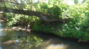 Купаемся на речке в деревне