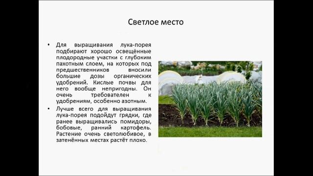 Лук порей смотреть онлайн