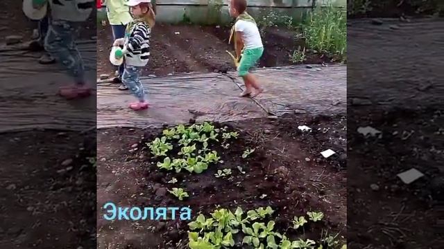 Эколята. Сезон 1. Красноярск смотреть онлайн