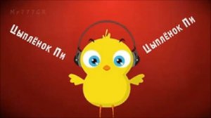 ципленок пи