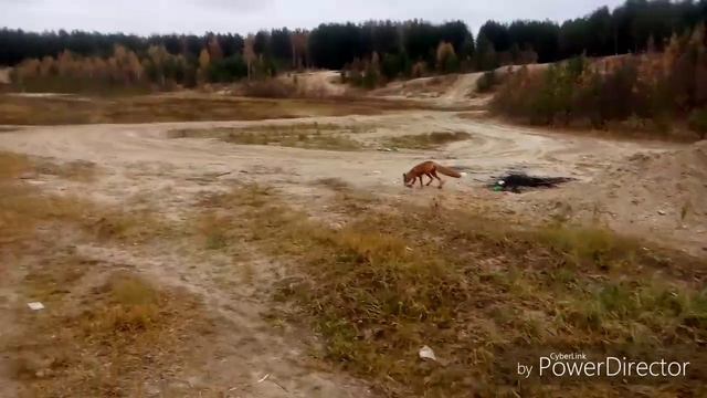 Югорск хмао , золотой коп 2016 г , на заброшенном пляже . смотреть онлайн