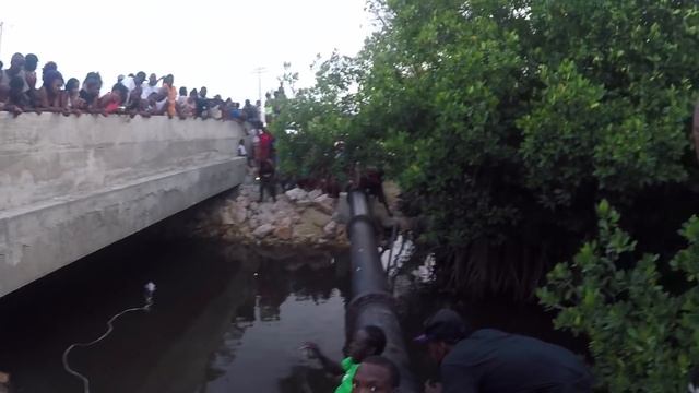 Catching Crocodile - Hellshire Bridge, Portmore, St Catherine, Jamaica смотреть онлайн