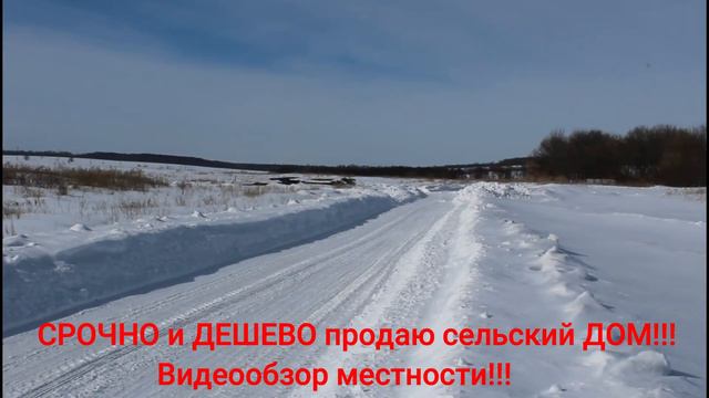 СРОЧНО и ДЕШЕВО продаю сельский ДОМ!!! Видео обзор местности!!! смотреть онлайн