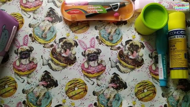 Покупки к школе. BACK TO SCHOOL 2019. Моя КАНЦЕЛЯРИЯ смотреть онлайн