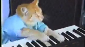 Keyboard Cat 1 Hour (but its only the first part)