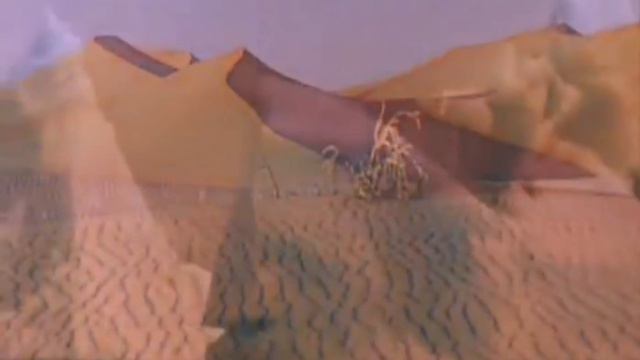 Сердцебиение / Агата Кристи а смотреть онлайн