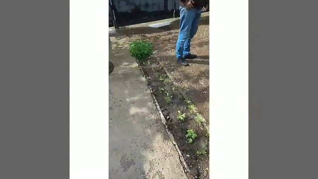 Замена стойки на тойота авенсис смотреть онлайн