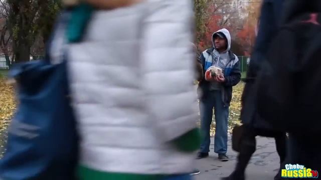 зачем так жестоко ?смотреть всем!!! смотреть онлайн