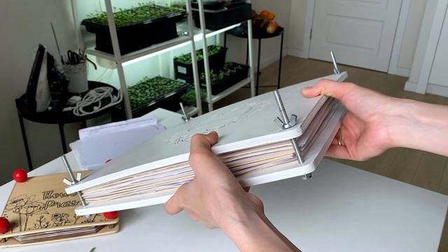 Как засушить МАТТИОЛУ? ? Mattiola FLOWERS Pressing Tutorial ? смотреть онлайн