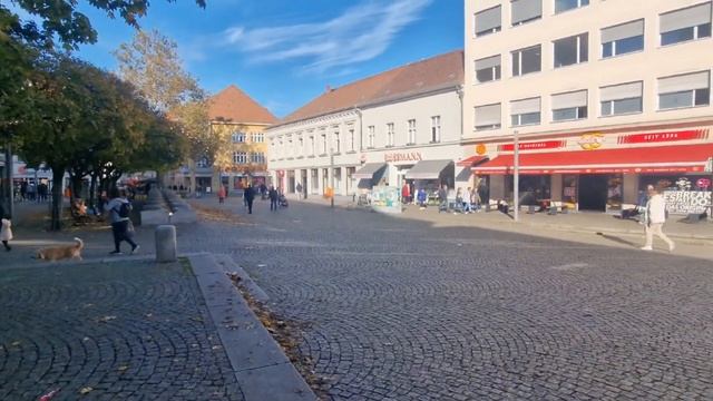 Вкусные блюда на любой вкус 