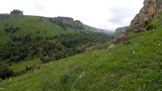Кисловодск. Иду в  Березовское ущелье. Russia. Kislovodsk. Walking Tour To The Berezovsky Gorge.