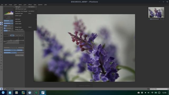 Esiste Phothoshop per Linux? смотреть онлайн