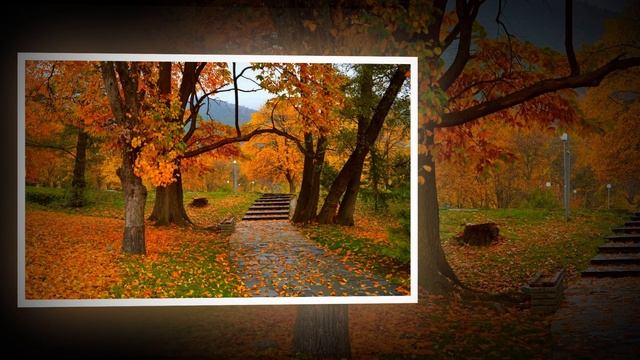 Осень,ах, осень. смотреть онлайн