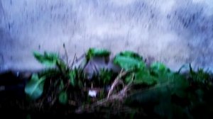 Как подтянуть ручник на ВАЗ 2115,2114,2113,2199,2109,2108