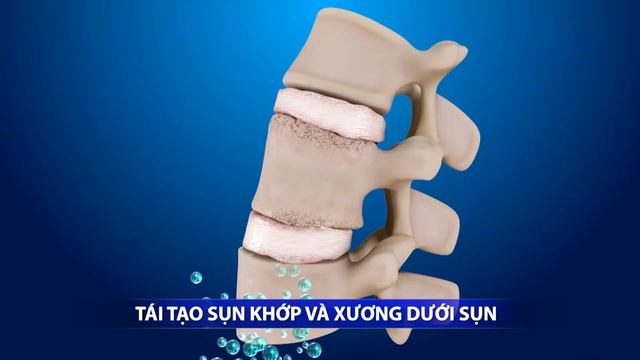 Thuan Reel 2021 смотреть онлайн