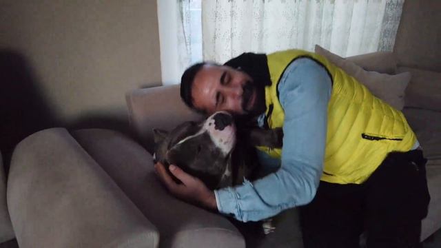 PKT KRAL KÖPEĞİME TUT KOMUTU VERDİĞİM ANDA DURDURUM смотреть онлайн