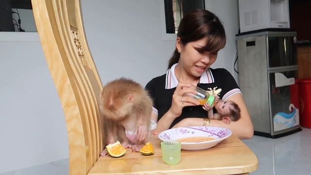Drink orange juice - Monkey GON and MIU смотреть онлайн
