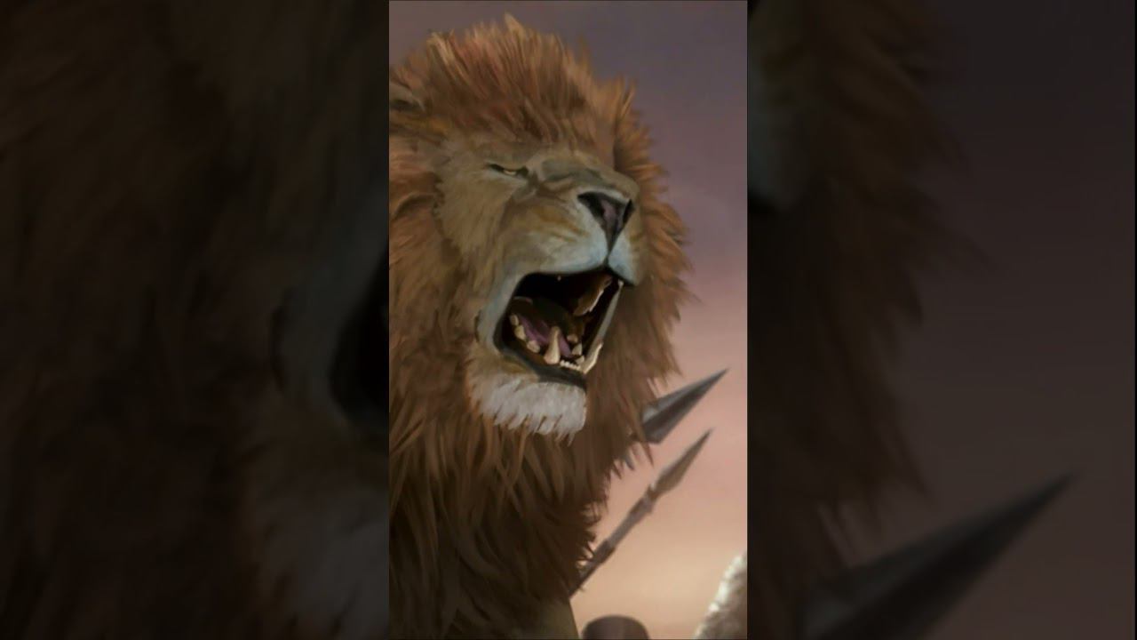 Chivalry 2 #lion #attack #fighting #battle #war #short #moments #shorts #game #free #epic #movie #xd смотреть онлайн
