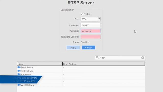 RTSP Server