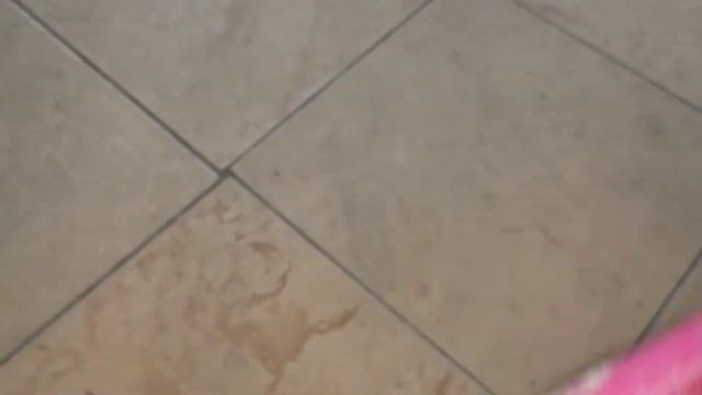 Как легко убрать мох с тротуарной плитки! смотреть онлайн