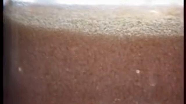 Рыбалка станет платной смотреть онлайн