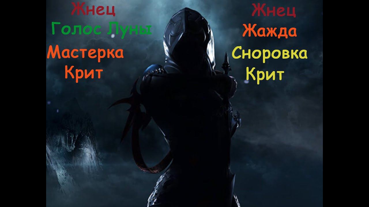 ПВЕ гайд Рипер Жнец 2.8 ♦ Т3 ♦ PVE билд Reaper ♦ АнимэДевочка
