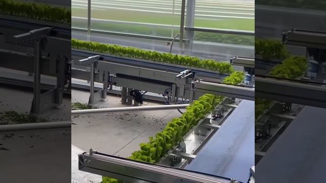 Harvest Time - Fully Automated смотреть онлайн