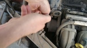 Замена ролика натяжителя обводного ремня Форд c-max 2.0. Форд focus 2.0.