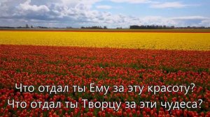 Для тебя, о человек, Бог создал небо и поля.
