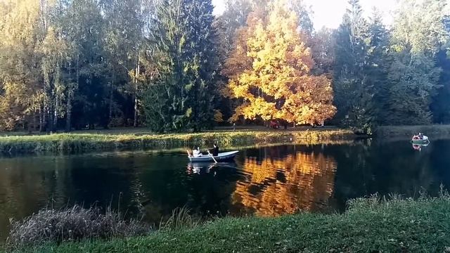 Павловский парк. Город Павловск. Санкт-Петербург смотреть онлайн