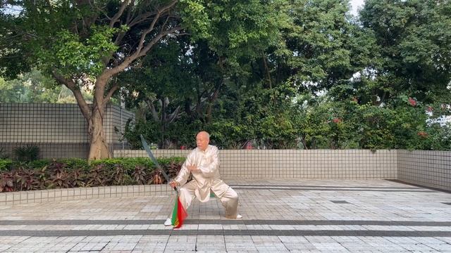 ГЭ СЮАНЬЧЖАН 戈玄张 ТЕХНИКА ВЛАДЕНИЯ НОЖОМ БАГУА смотреть онлайн