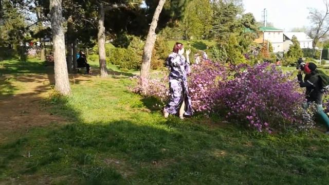 День Рождения в стиле ханами | Кимоно | Уличная мода Япония | Харадзюку мода | Анорико смотреть онлайн