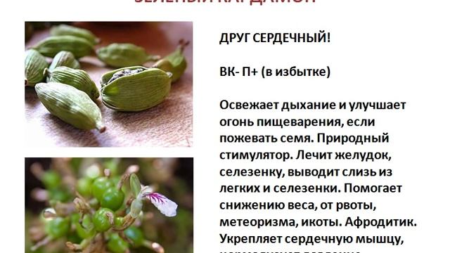 Урок по специям (кардамон) смотреть онлайн